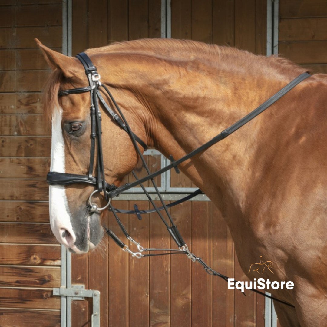 Norton Pro De Gogue with Pulley, a training aid for horses.