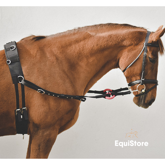 Nylon Side Reins for lunging horses