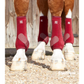 Premier Equine Air-Tech Sports Medicine Boots in burgundy