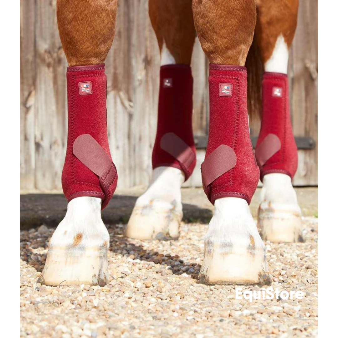 Premier Equine Air-Tech Sports Medicine Boots in burgundy