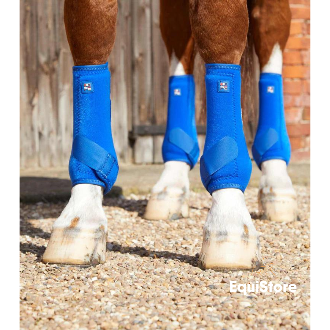 Premier Equine Air-Tech Sports Medicine Boots in royal blue 