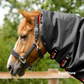 Premier Equine Buster 100g Turnout Rug with Snug-Fit Neck Cover for horses, in a black colour. 