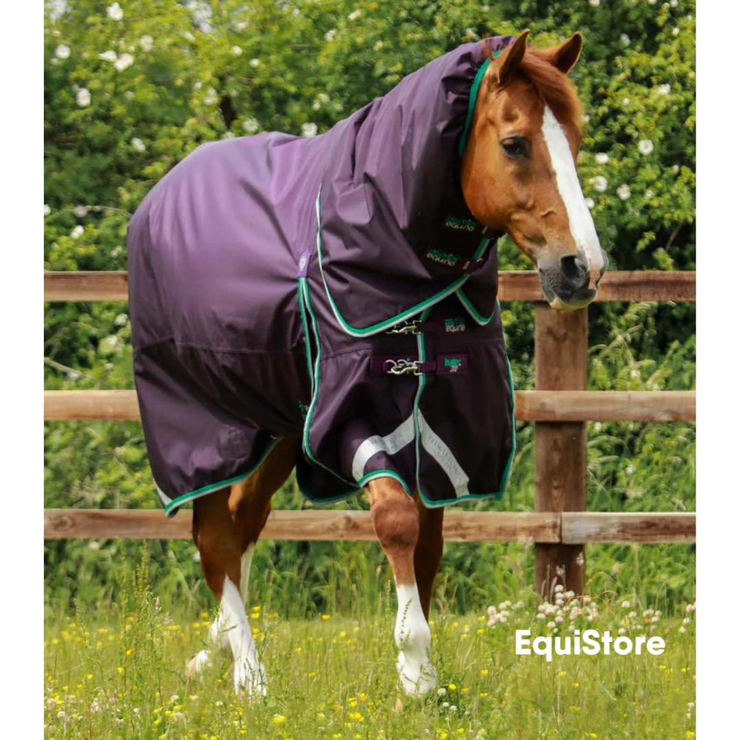 Premier Equine Buster 200g Turnout Rug with Snug-Fit Neck Cover in purple