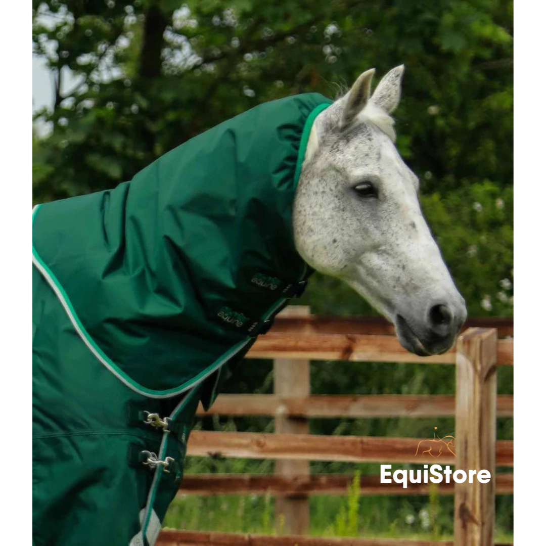 Premier Equine Buster 200g Turnout Rug with Snug-Fit Neck Cover a middleweight turnout rug for horses 