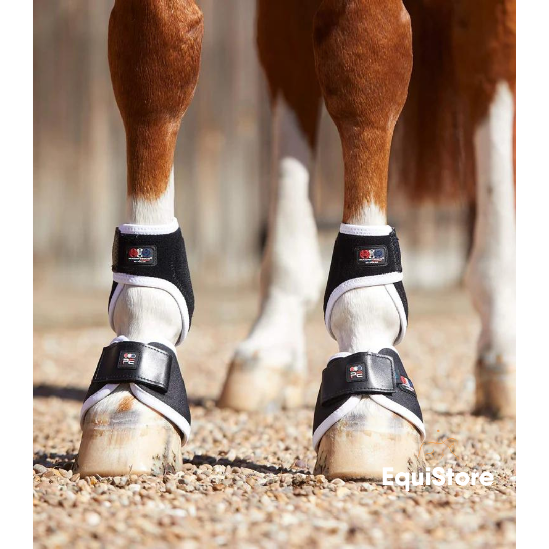 Premier Equine Magni-Teque Magnetic Fetlock Boots for magnet therapy for horses