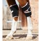 Premier Equine Magni-Teque Magnetic Hock Boots for magnet therapy for horses