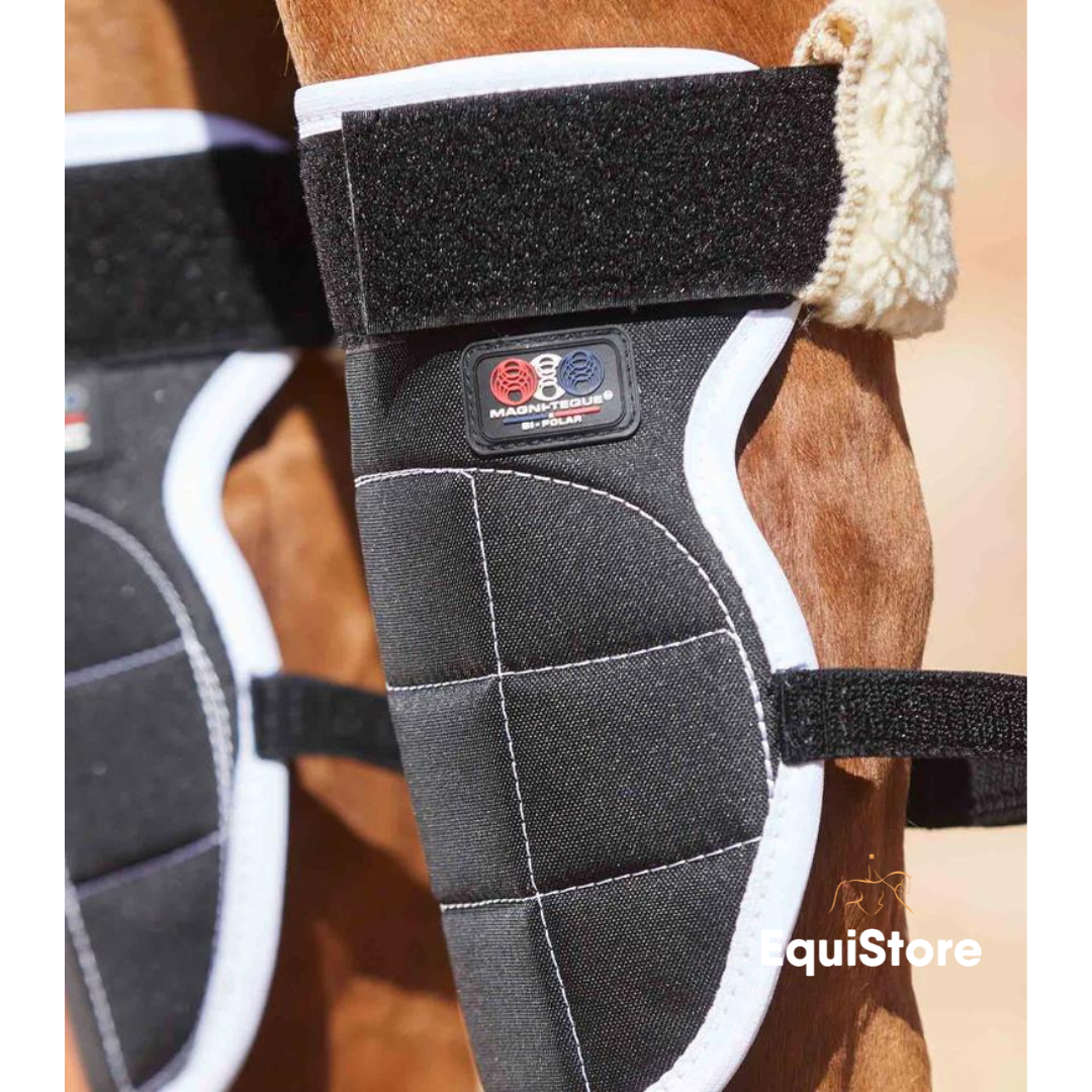 Premier Equine Magni-Teque Magnetic Knee Boots for magnet therapy for horses