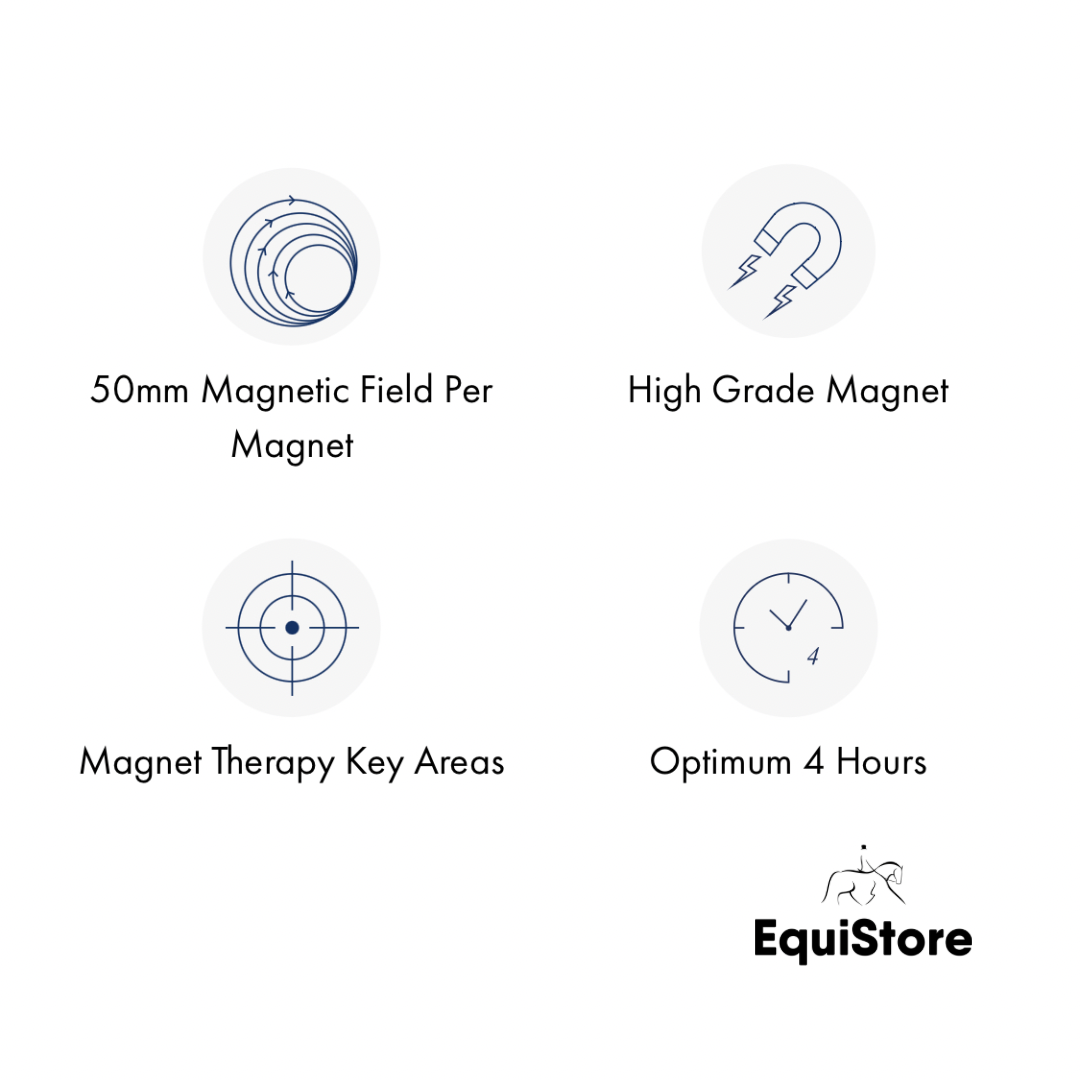 Premier Equine Magni-Teque Magnetic Knee Boots for magnet therapy for horses