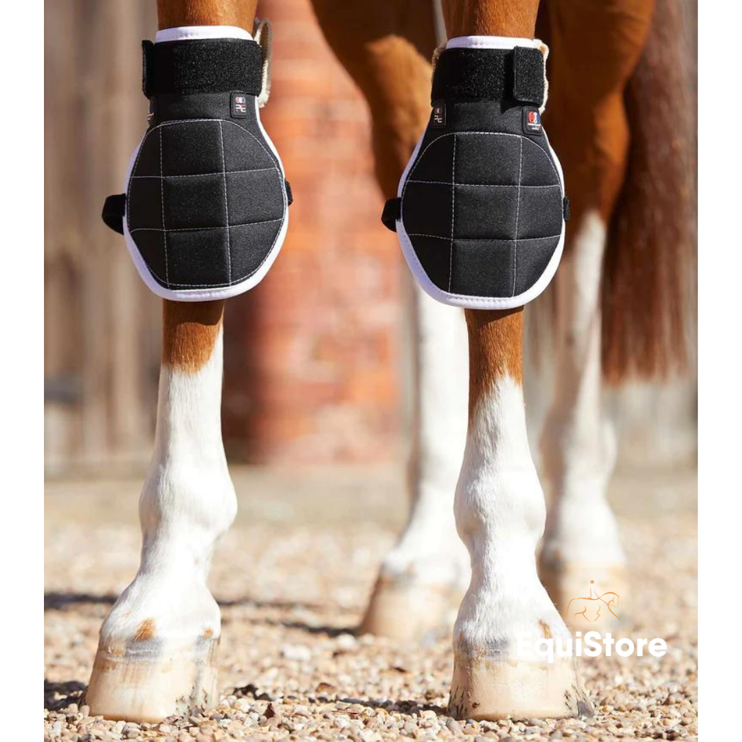 Premier Equine Magni-Teque Magnetic Knee Boots for magnet therapy for horses