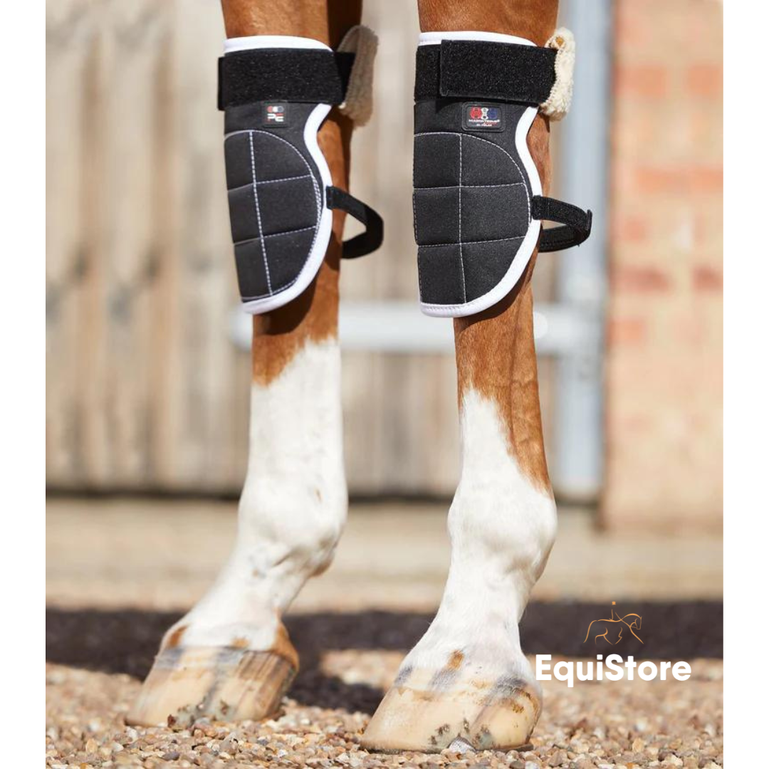 Premier Equine Magni-Teque Magnetic Knee Boots for magnet therapy for horses