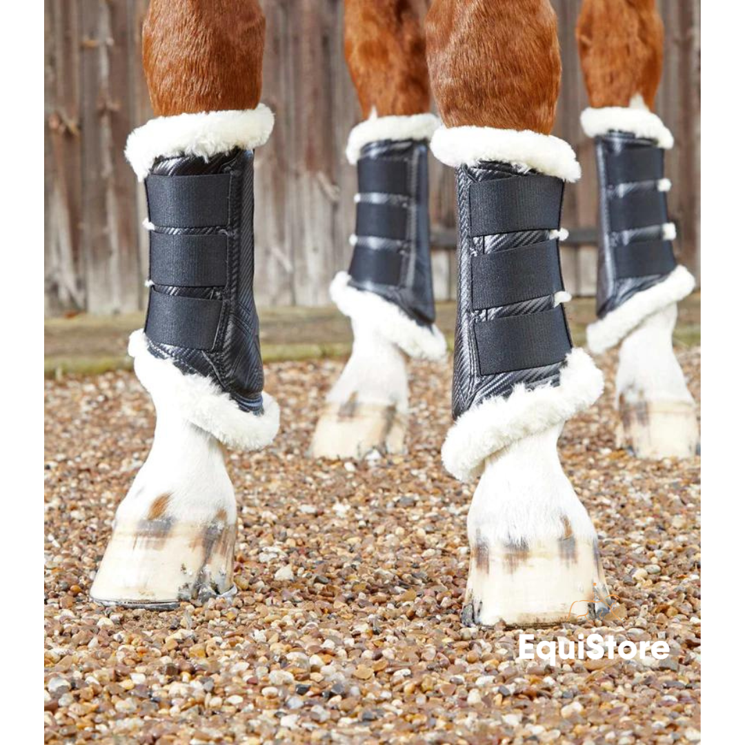 Premier Equine Techno Wool Brushing Boots in black