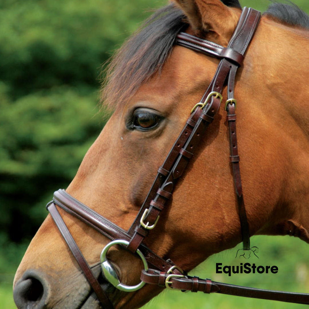 Bay horse wearing a Celtic equine Puissance comfort bridle and reins