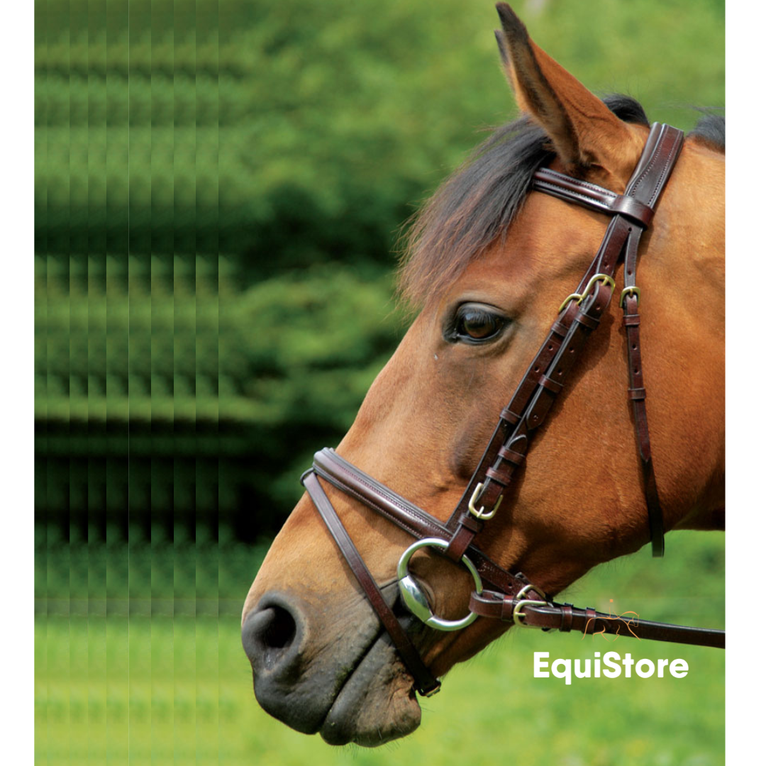 Bay horse wearing a Celtic equine Puissance comfort bridle and reins