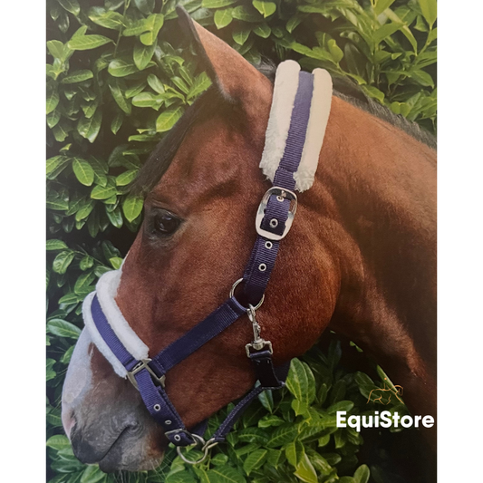 Puissance Headcollar with Fur for horse sand ponies. Made by Celtic Equine.