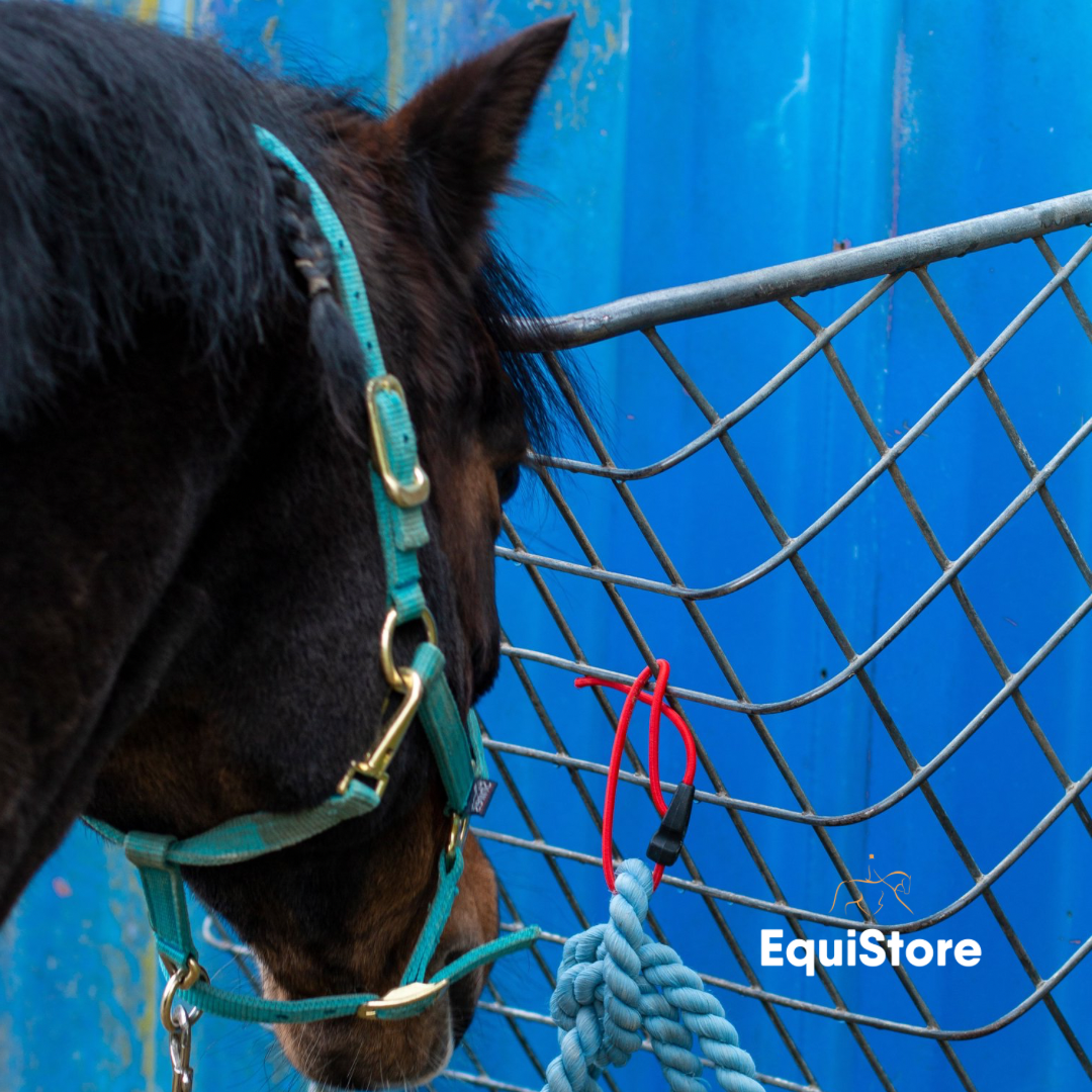 Quick Clips safety stable tie for horses 