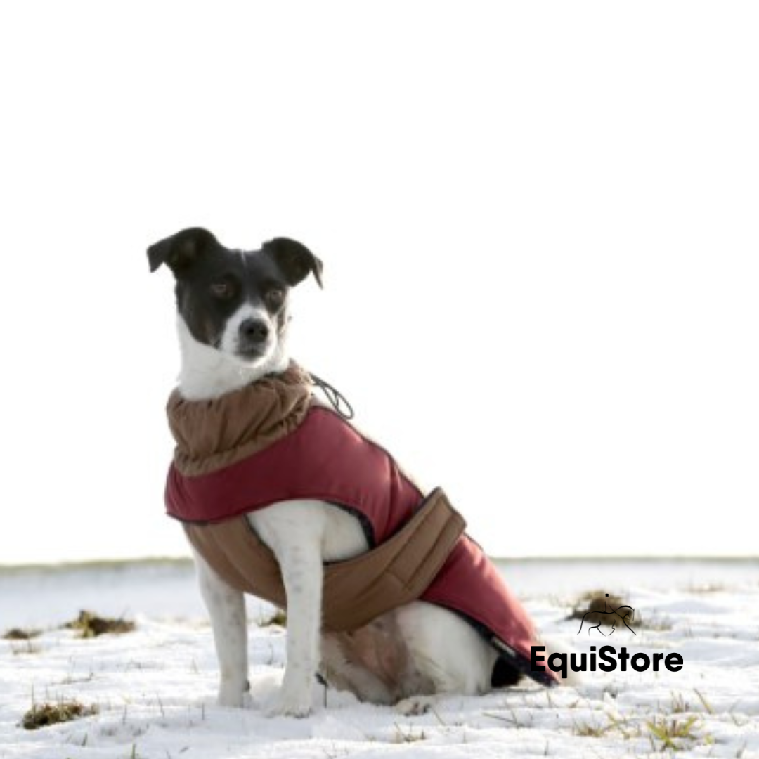 Royal Dog Coat - Red/Brown