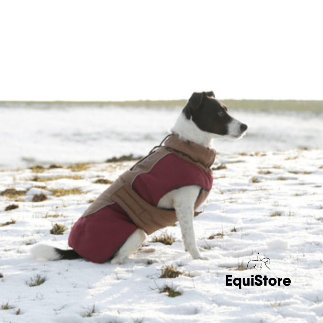 The Royal Dog Coat is a Red/Brown luxury dog rug which is waterproof and fleece lined.