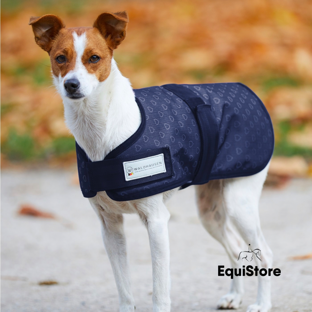 Silver Hearts Waterproof Dog Coat 