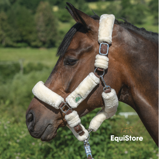 USG Fluffy Headcollar - Brown/Cream and very comfortable for your horse or pony 