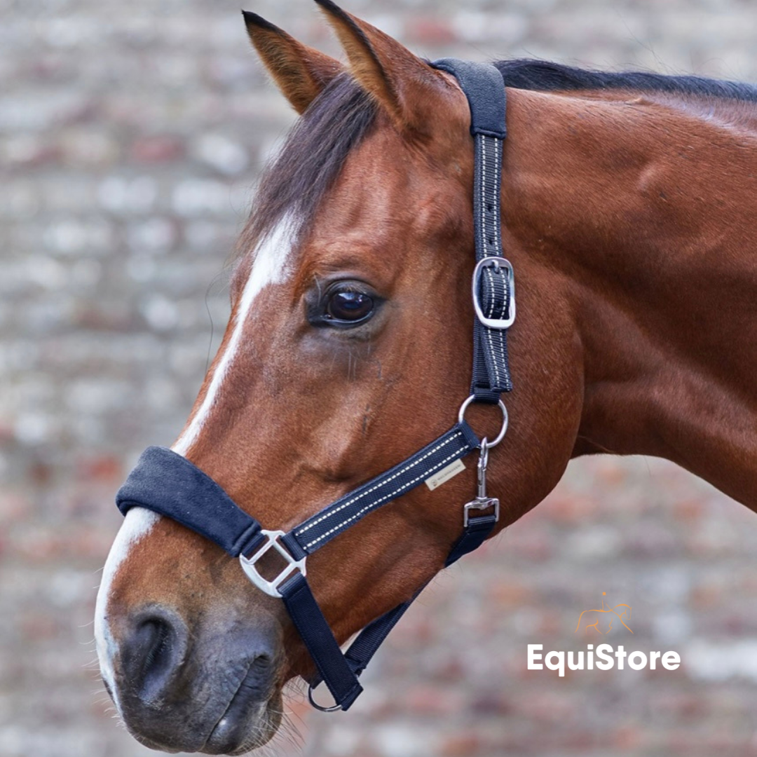 Waldhausen Alcantara Headcollar