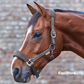Waldhausen Alcantara Headcollar