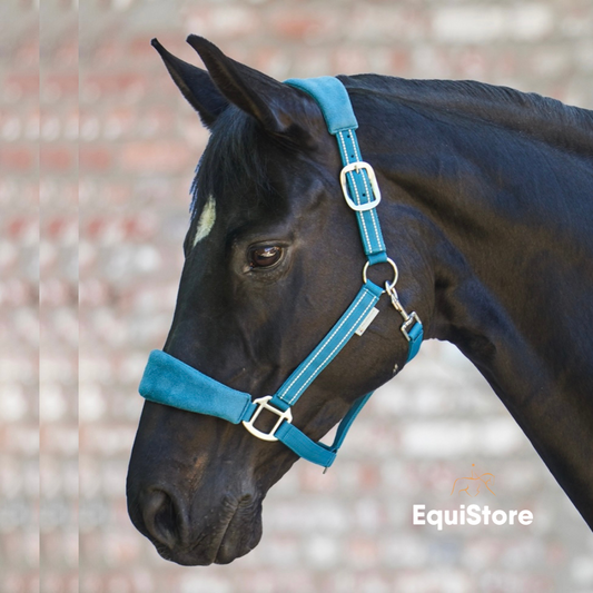 Waldhausen horse headcollar with Alcantara fabric. A halter for comfort for your horse or pony.