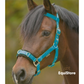 Waldhausen Economy Lunge Halter/Cavesson for horses