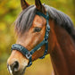 Waldhausen Economy Lunge Halter/Cavesson for horses