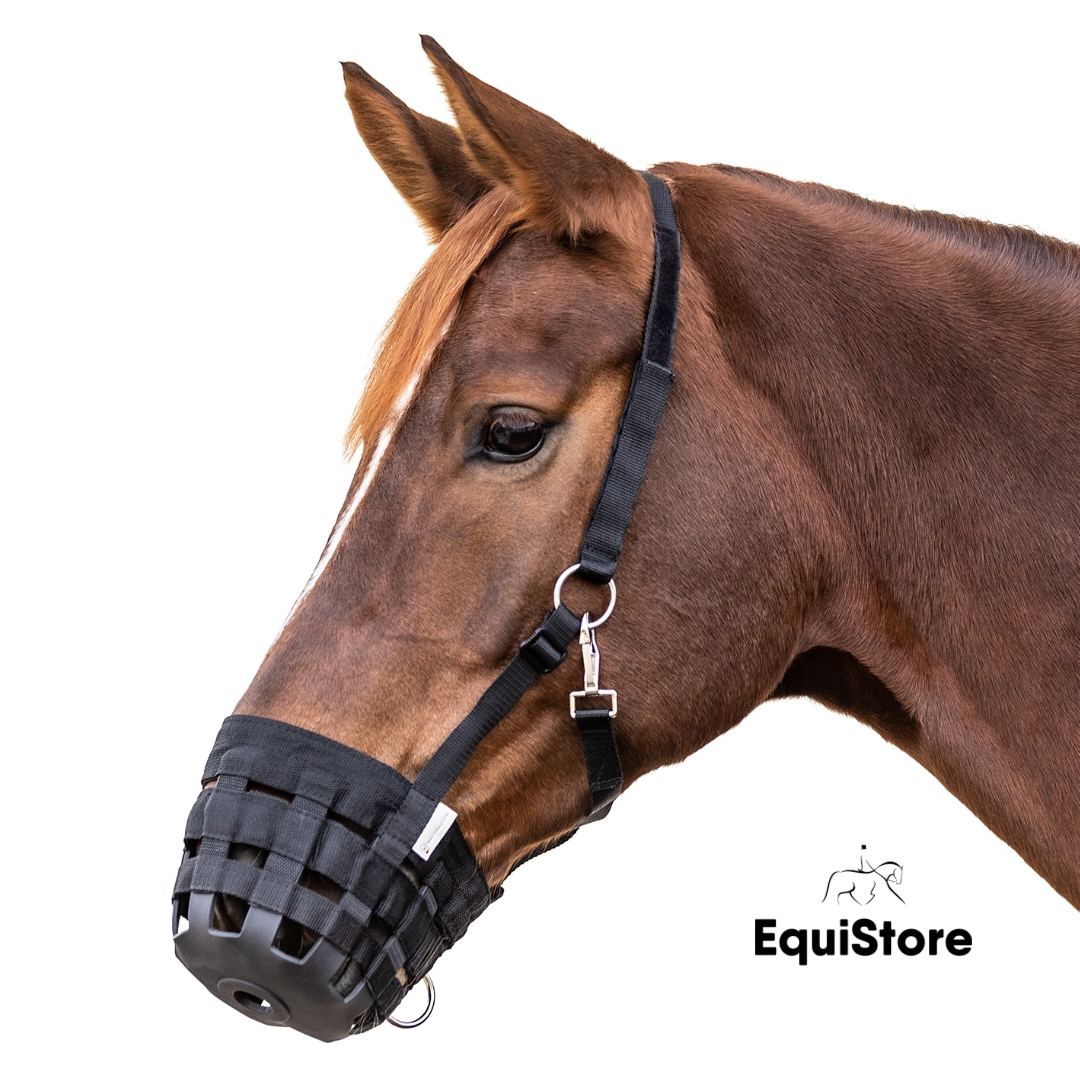 Waldhausen Grazing Muzzle for horses and ponies