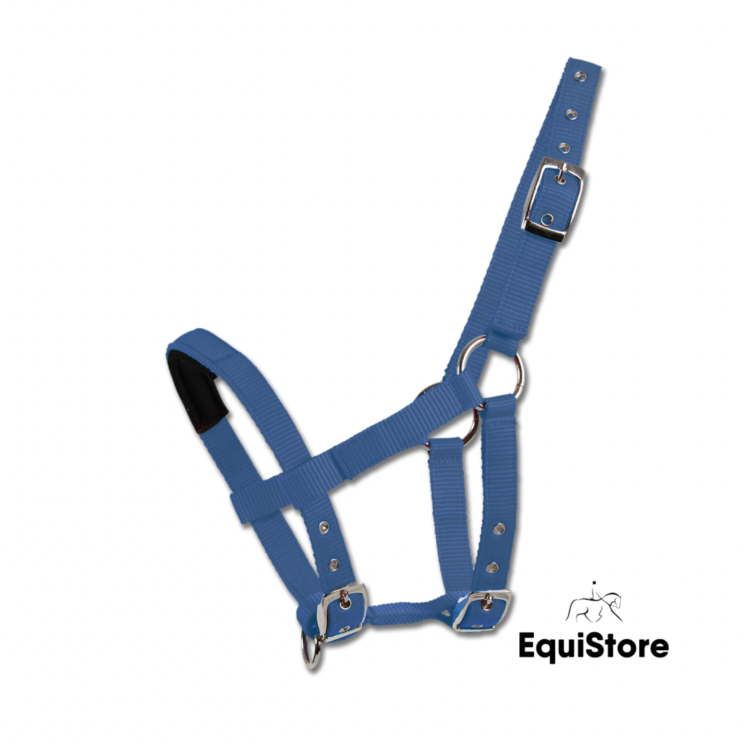 Waldhausen Mini Shetland Halter blue