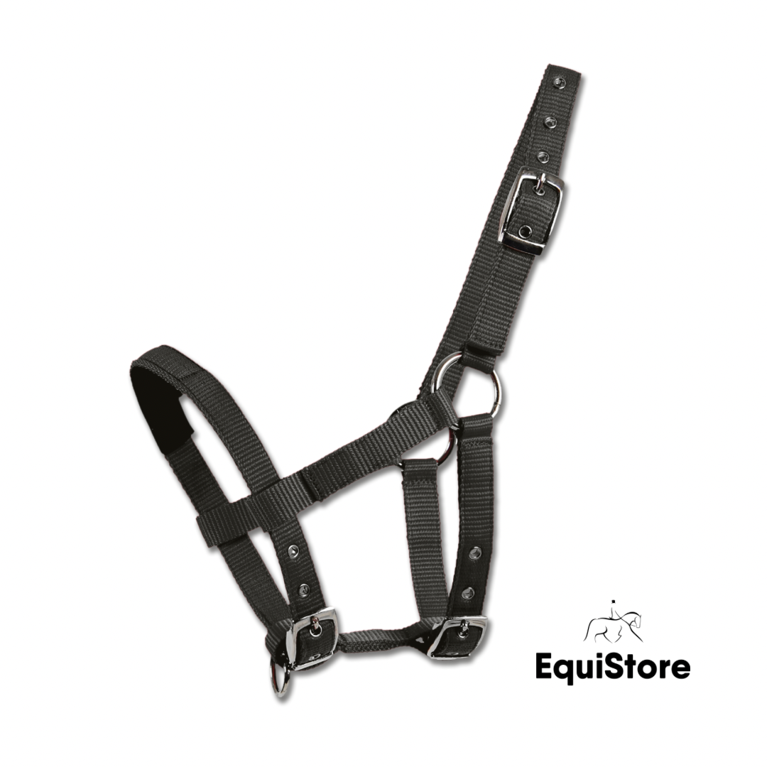 Waldhausen Mini Shetland Halter black