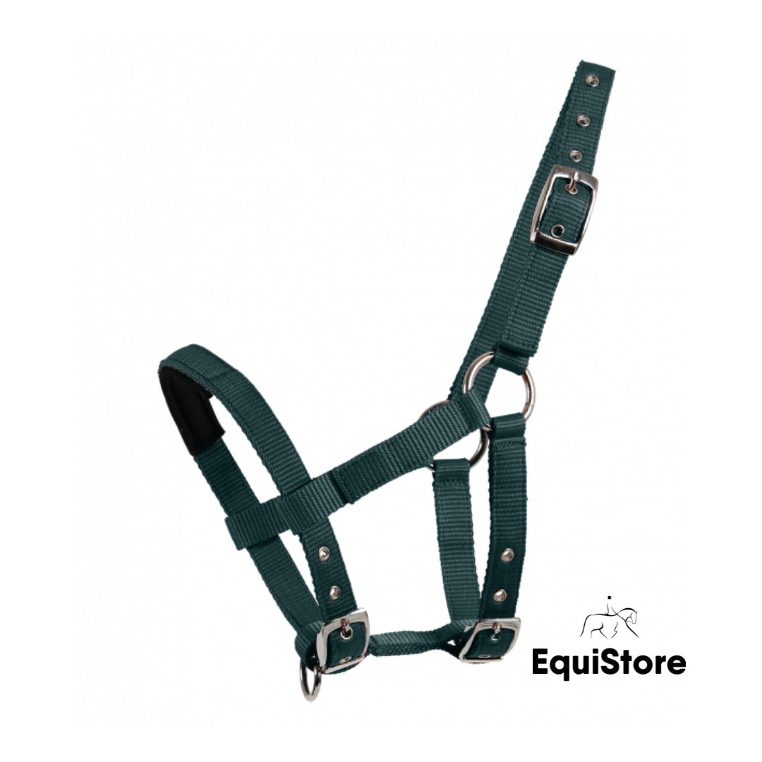 Waldhausen Mini Shetland Halter green