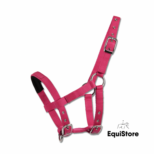 Waldhausen Mini Shetland Halter pink