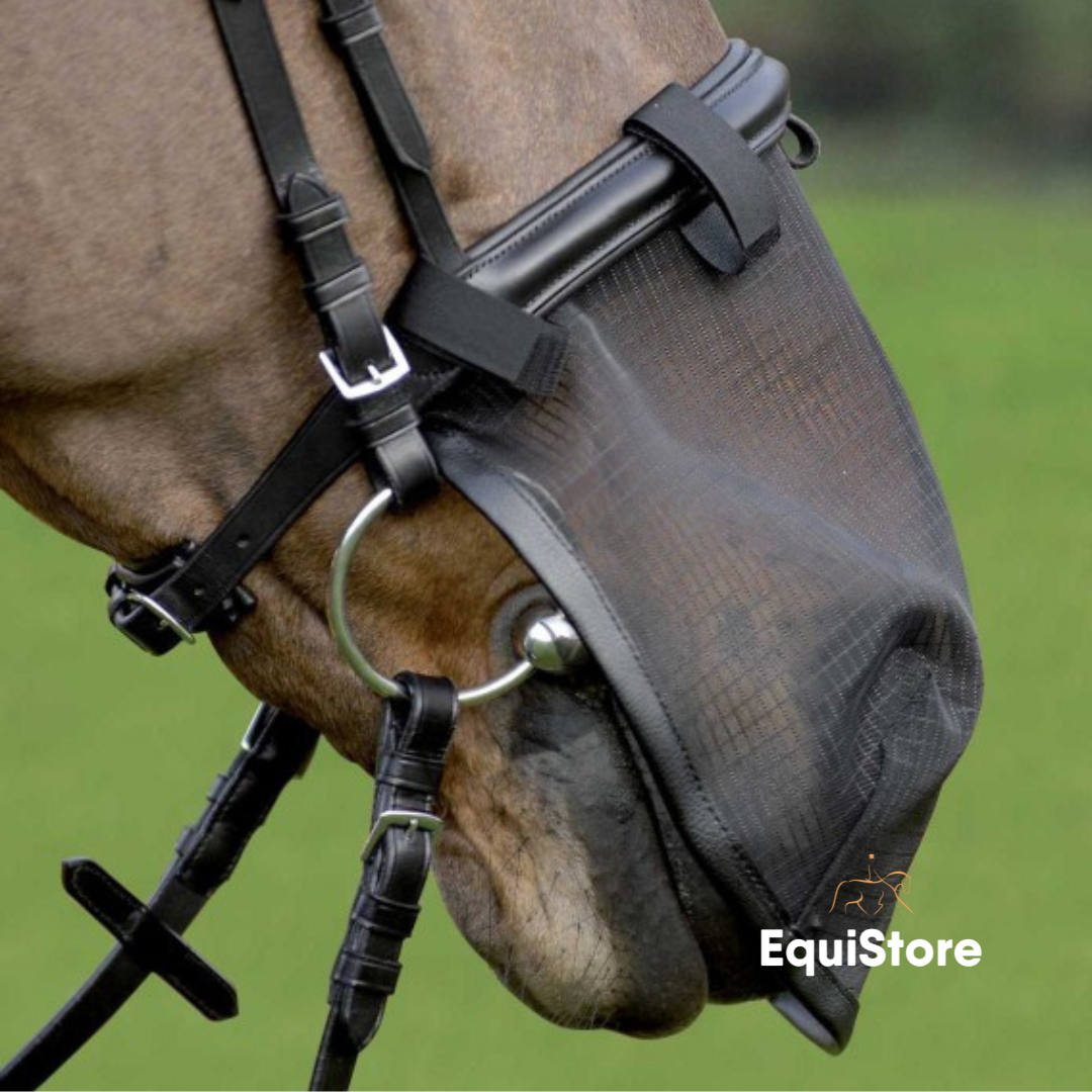 Protection Dorsale WALDHAUSEN Swing P24 Flex - Norme EN 1621-2 Niveau 2, Équitation, Réglable