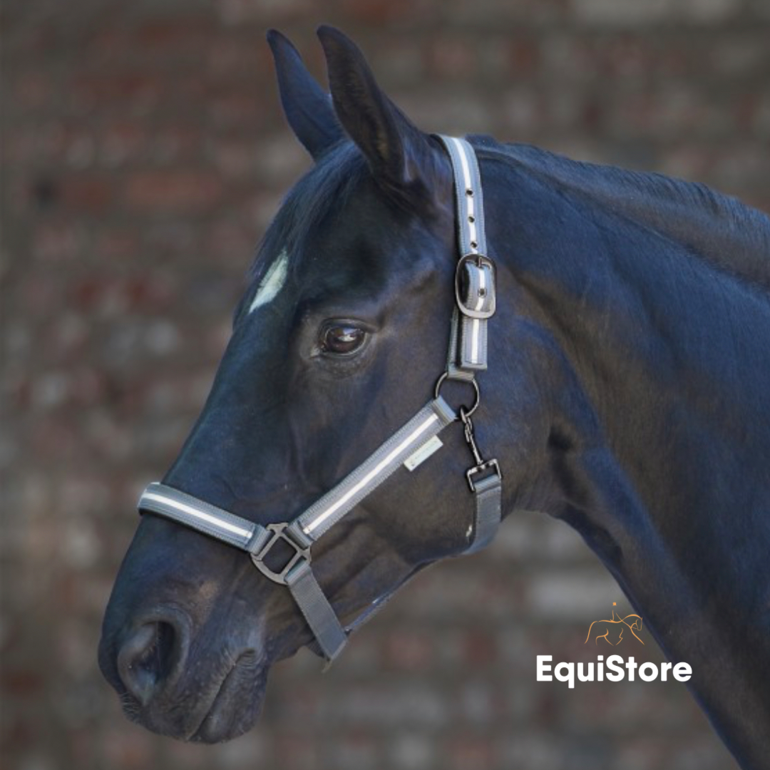 Waldhausen Reflex Stripe Headcollar for a high visibility horse.